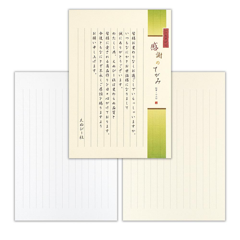 伝えるきもちB5便箋　縦罫