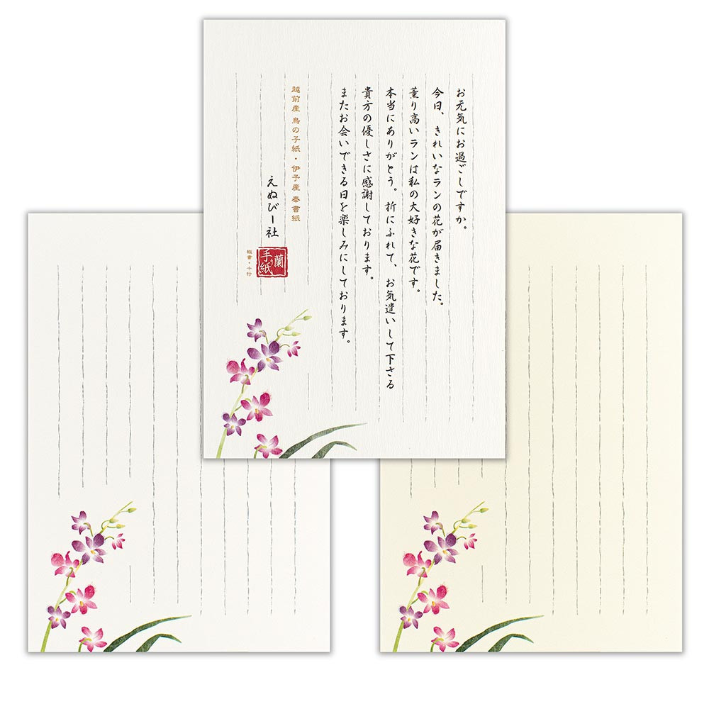 伝えるきもちB5便箋　デンファレ