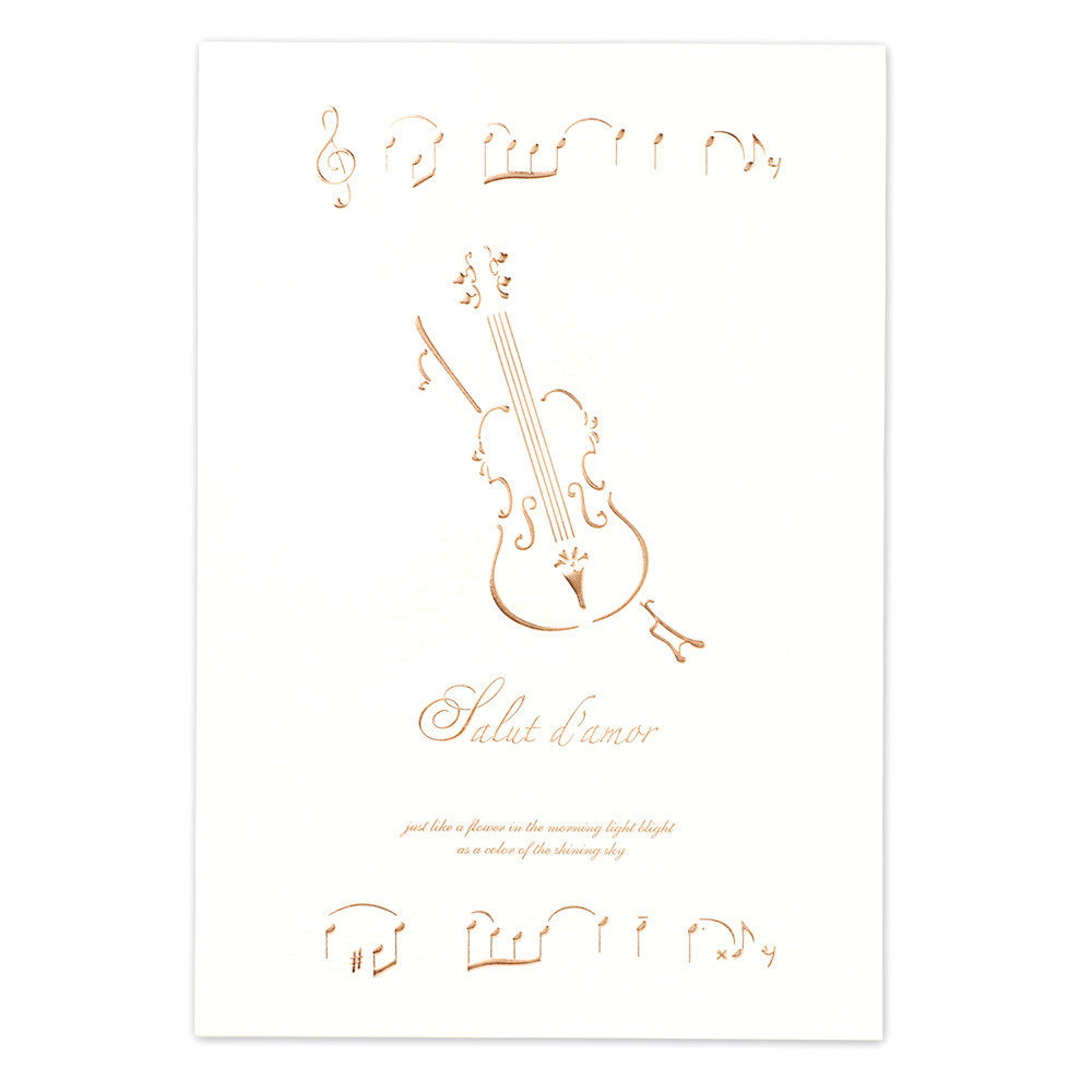 LT　B5便箋　アムール