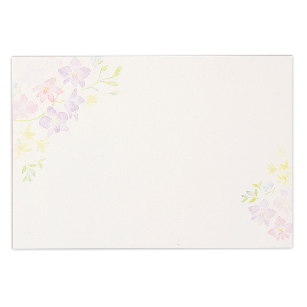 PF封筒　デンファレ