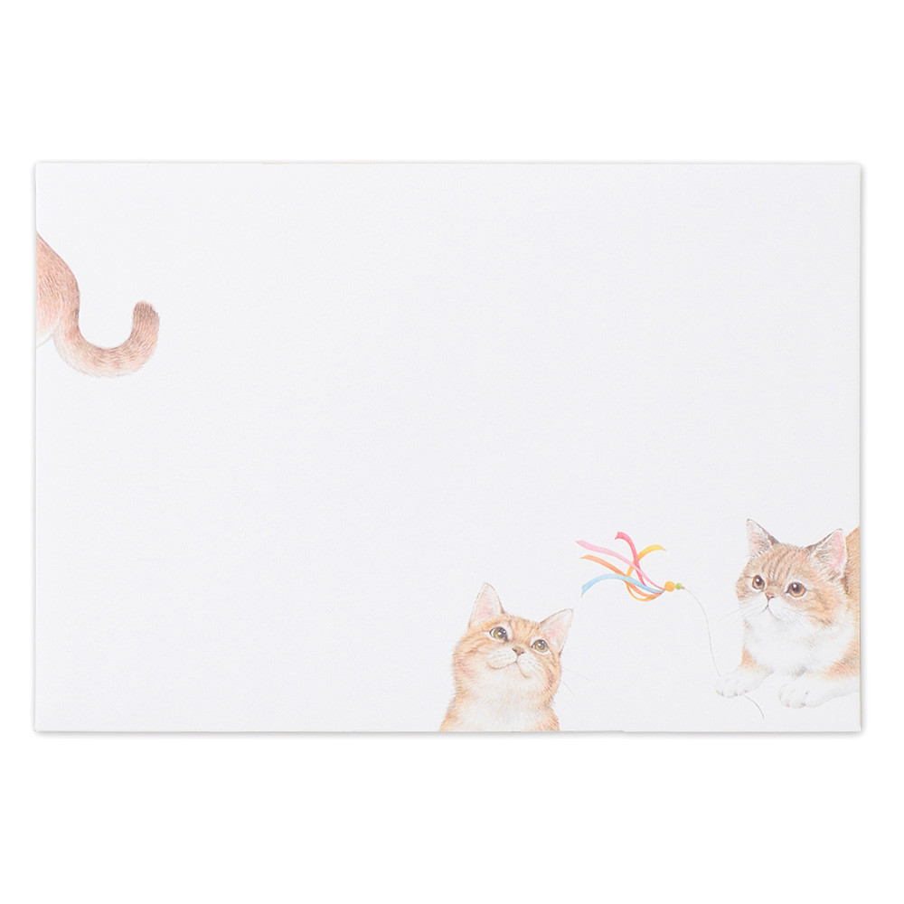 NC封筒　まったり