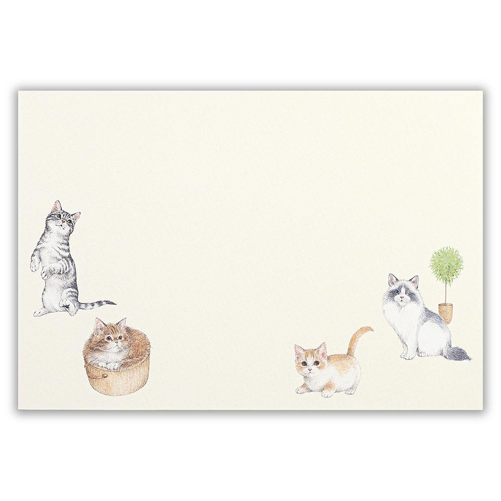 NC封筒　ねこのひととき