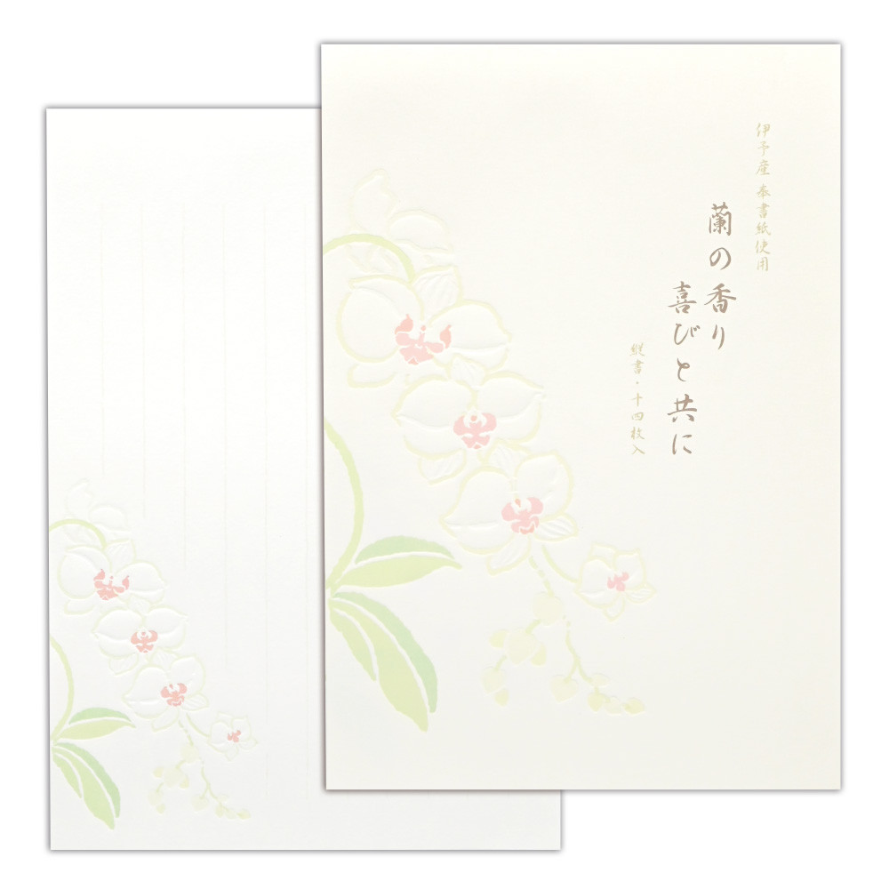 華澄B5便箋　蘭