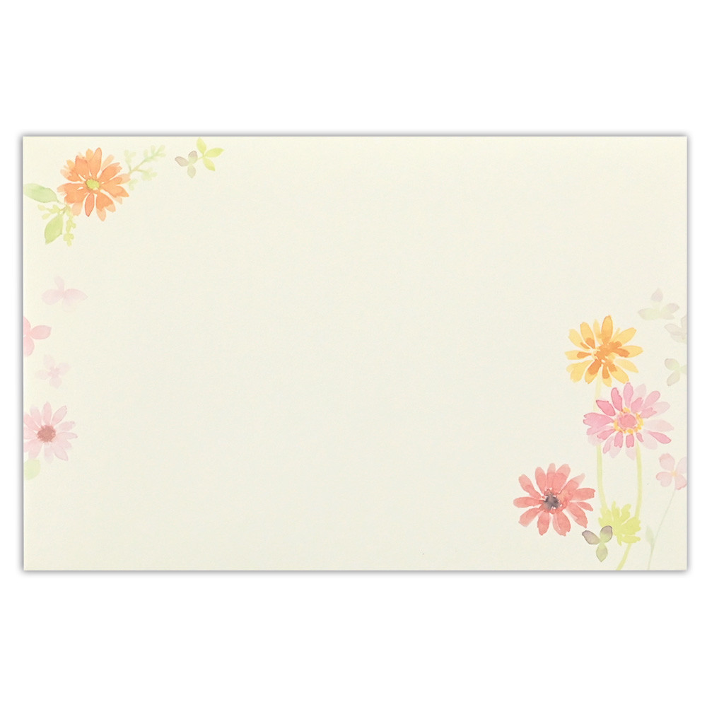 NNT封筒　サニー