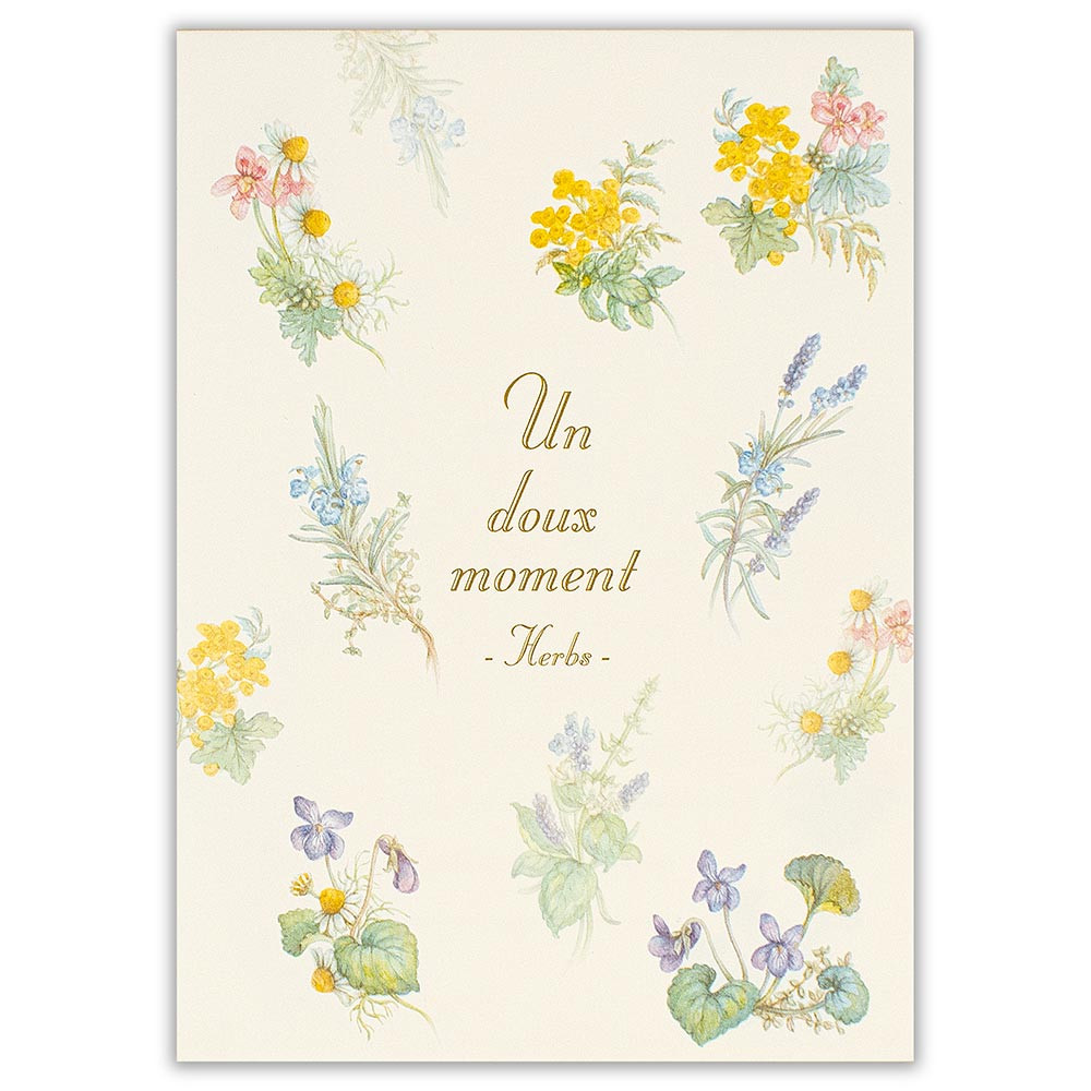 便箋　ｍｏｍｅｎｔ　ハーブ