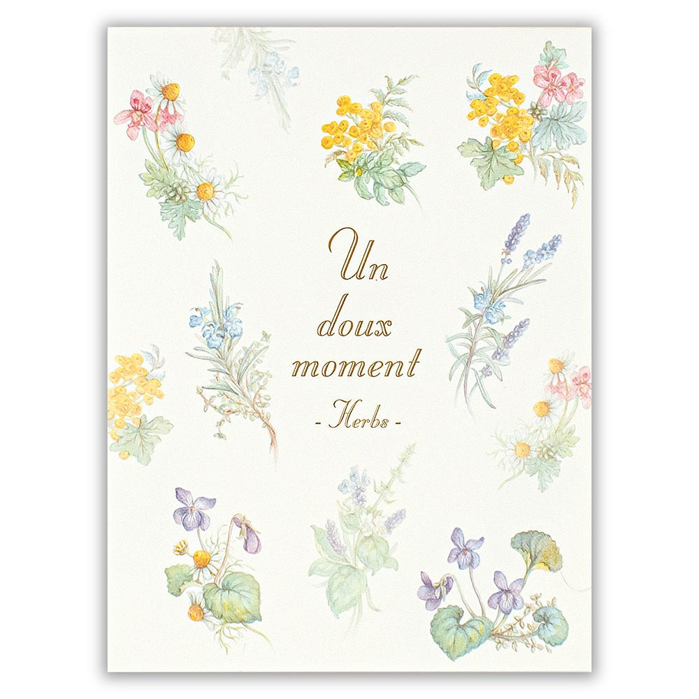 メモ　ｍｏｍｅｎｔ　ハーブ