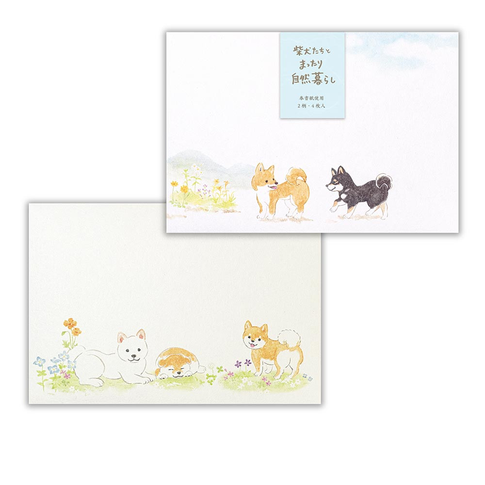 封筒　わんころび　柴犬