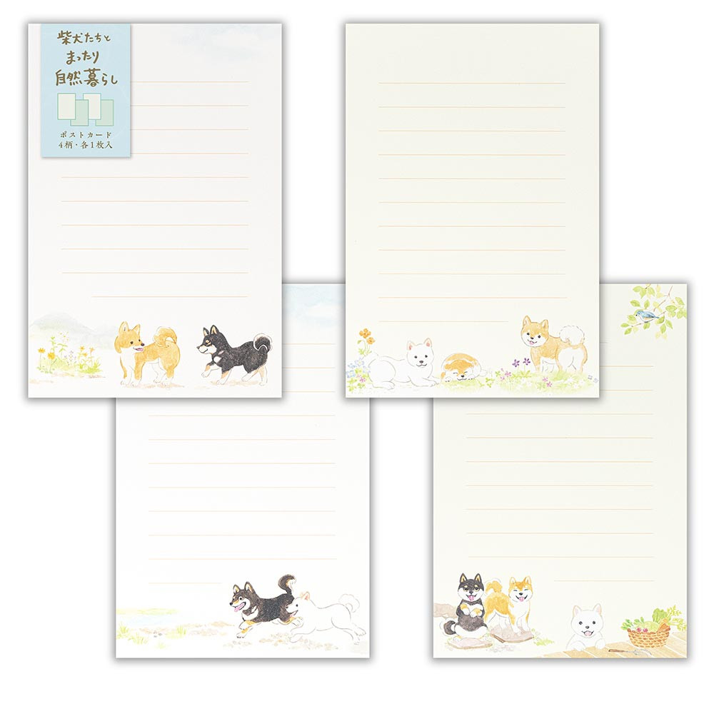 はがき　わんころび　柴犬