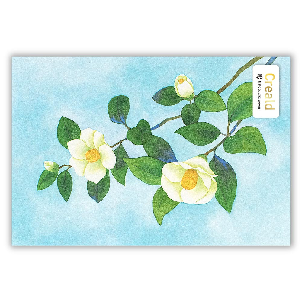 ポストカード　白椿