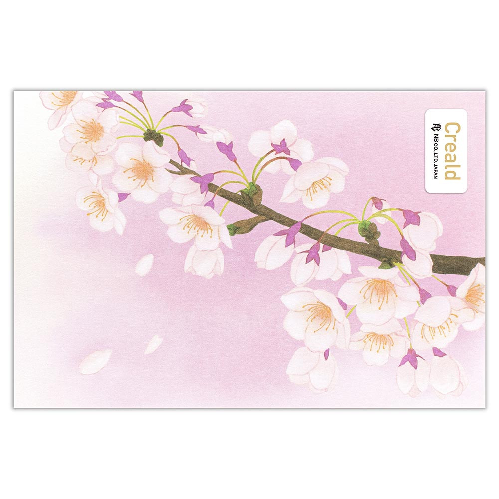 ポストカード　桜