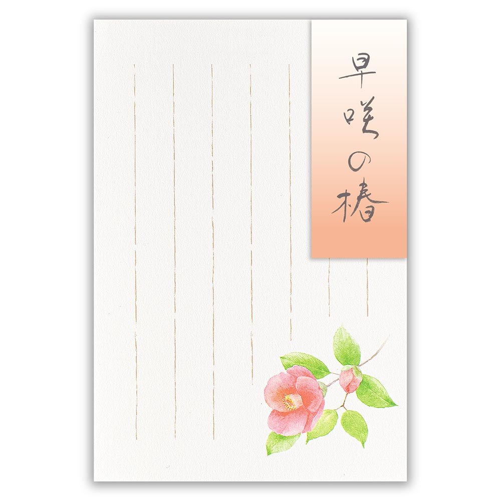 はがき　冬三集　早咲の椿