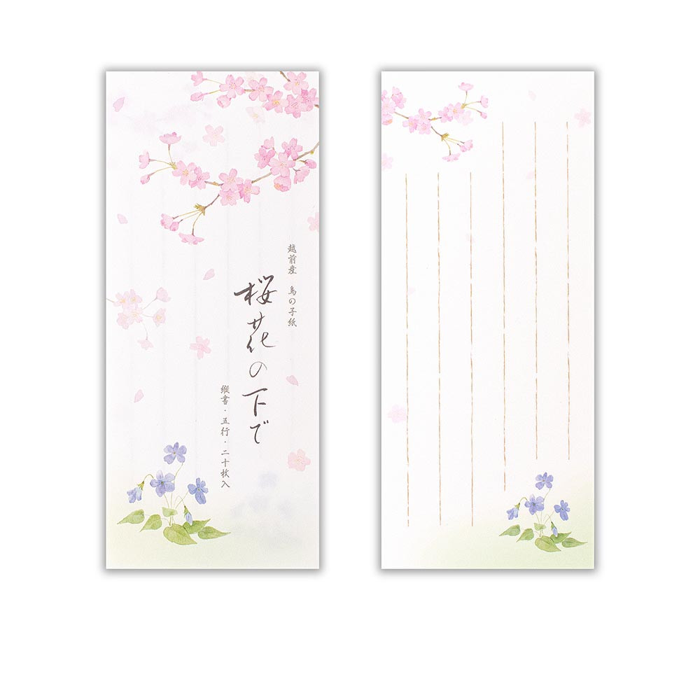 一筆箋　春三集　桜花の下で