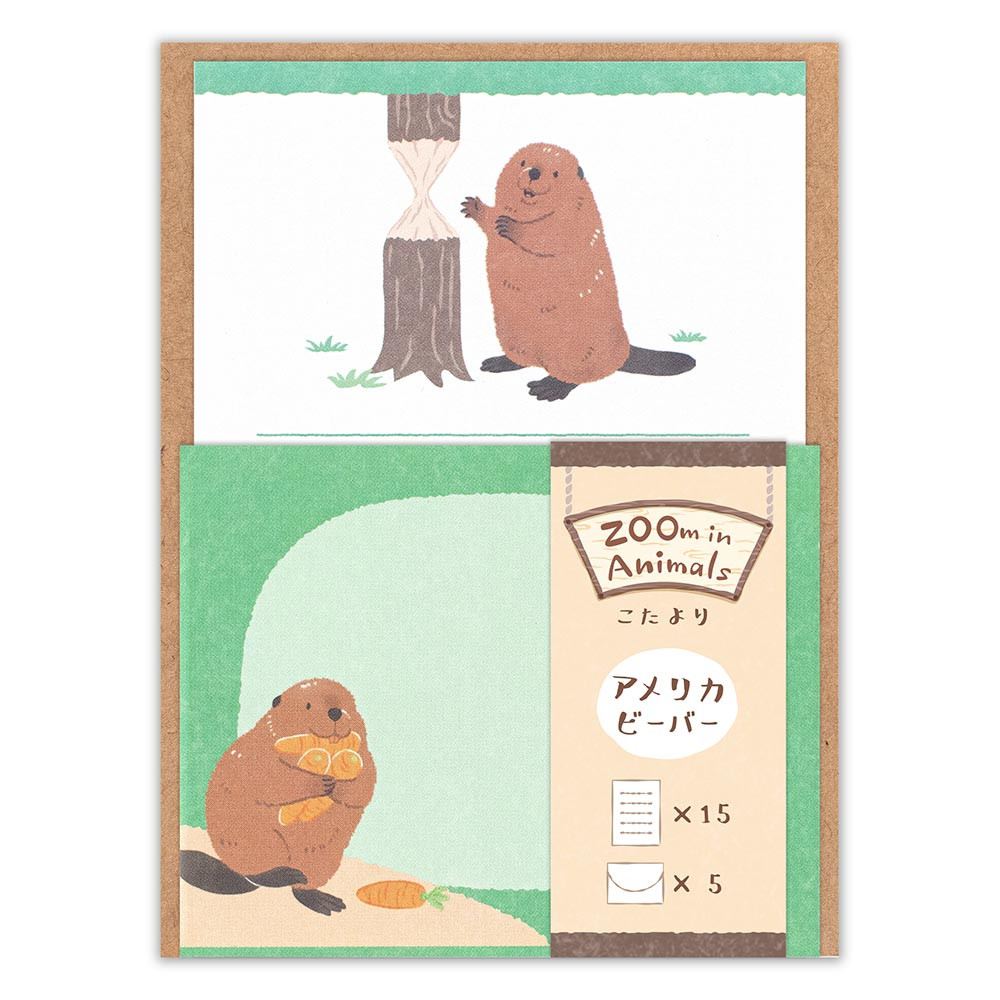 小たより　ズームインアニマル　ビーバー