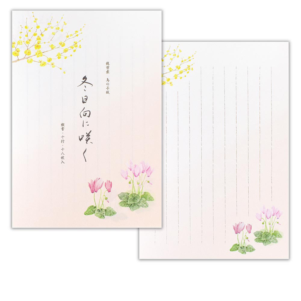 便箋　冬五集　冬日向に咲く３Ａ