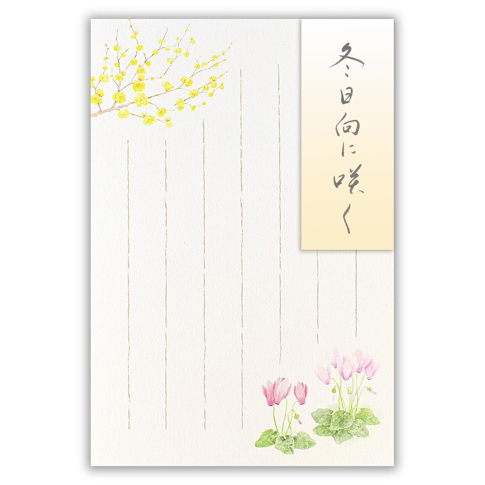 はがき　冬五集　冬日向に咲く３Ａ