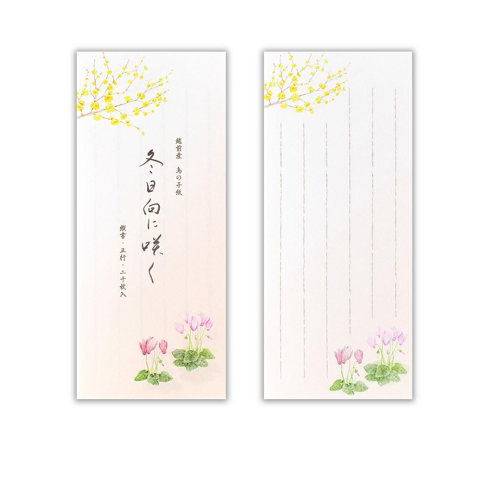 一筆箋　冬五集　冬日向に咲く３Ａ