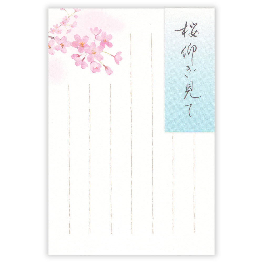 はがき　春五集　桜仰ぎ見て