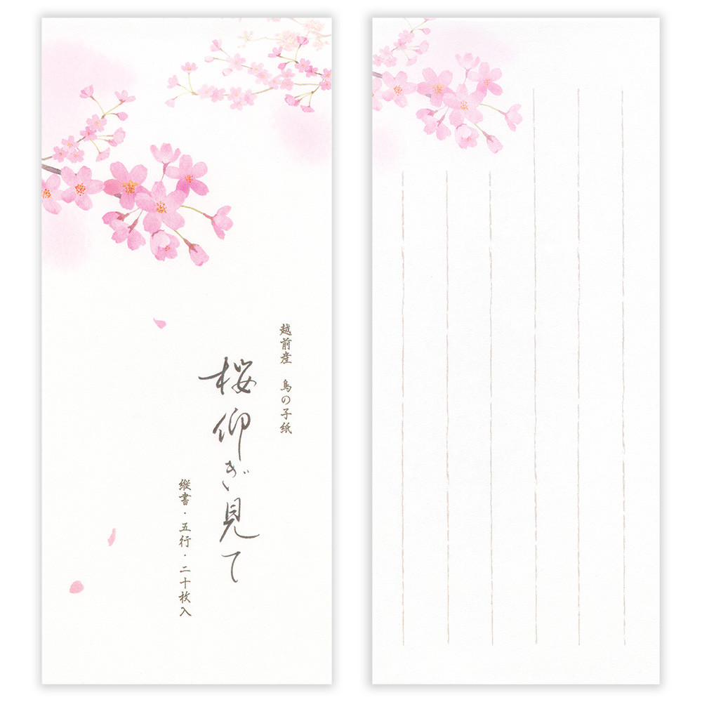 一筆箋　春五集　桜仰ぎ見て