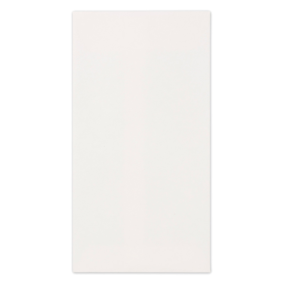 のし袋　白無地