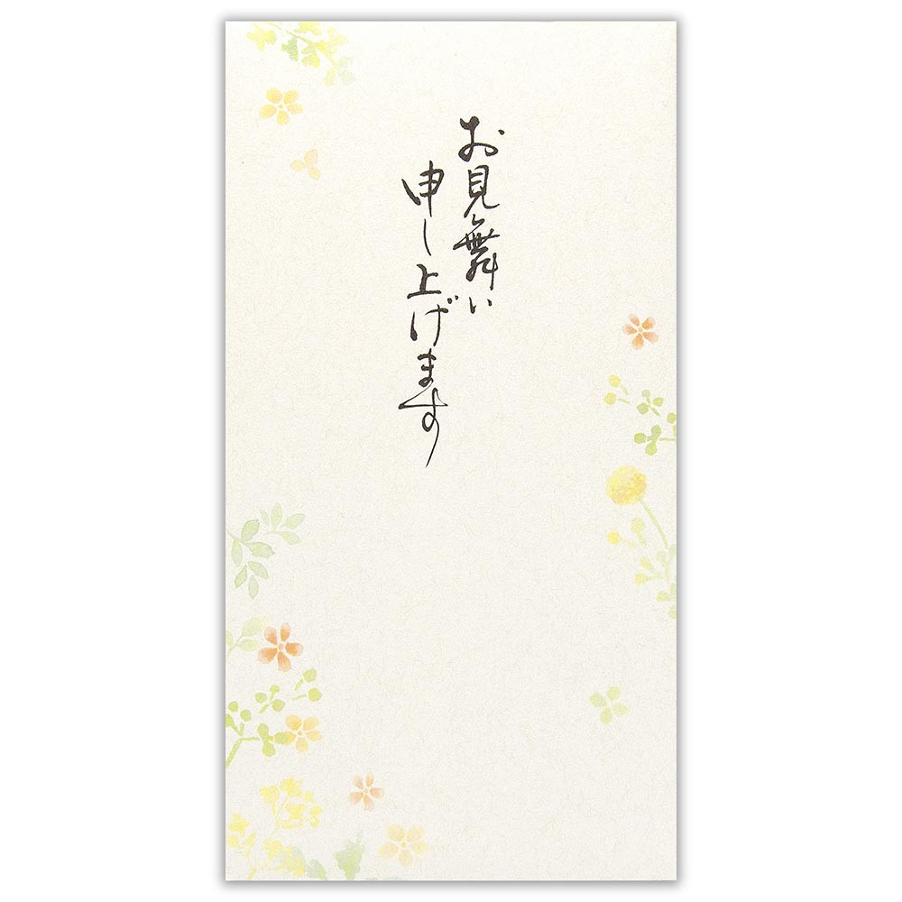 筆文字のし袋　御見舞　草花