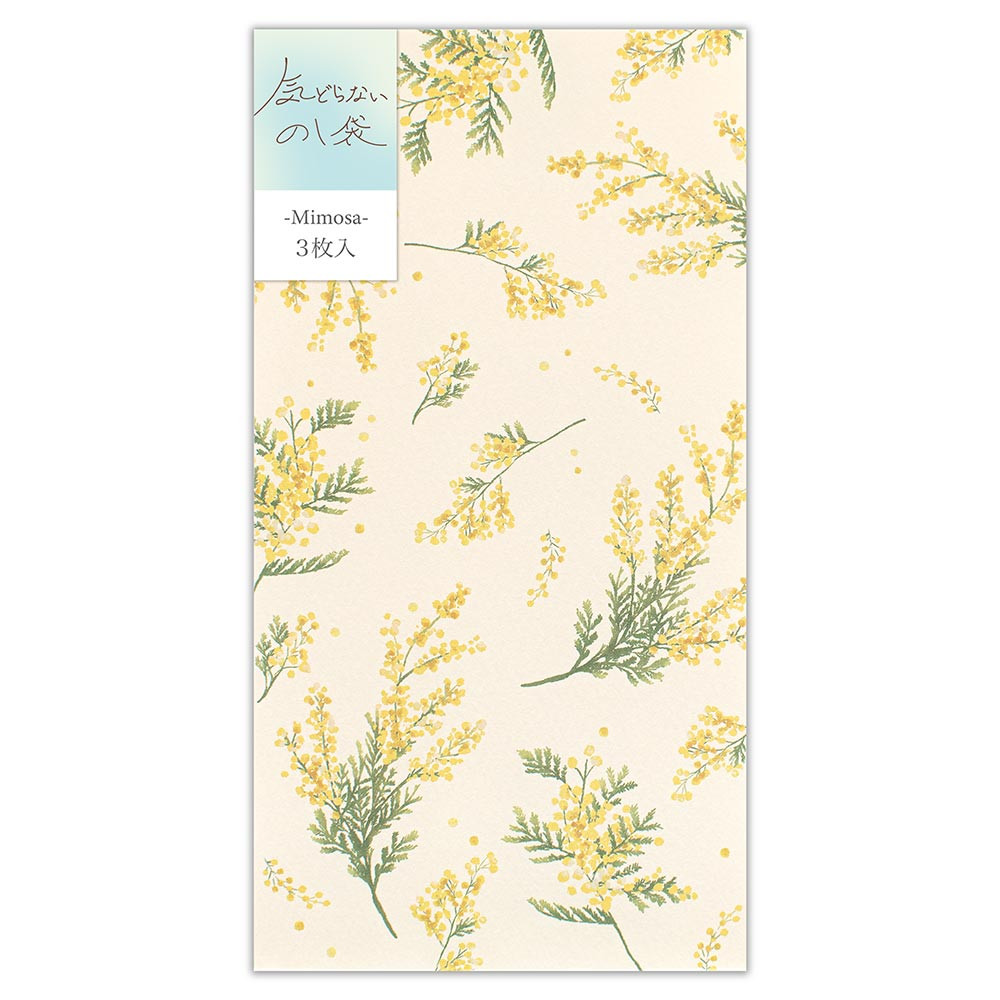 のし袋　カジュアル　アカシア