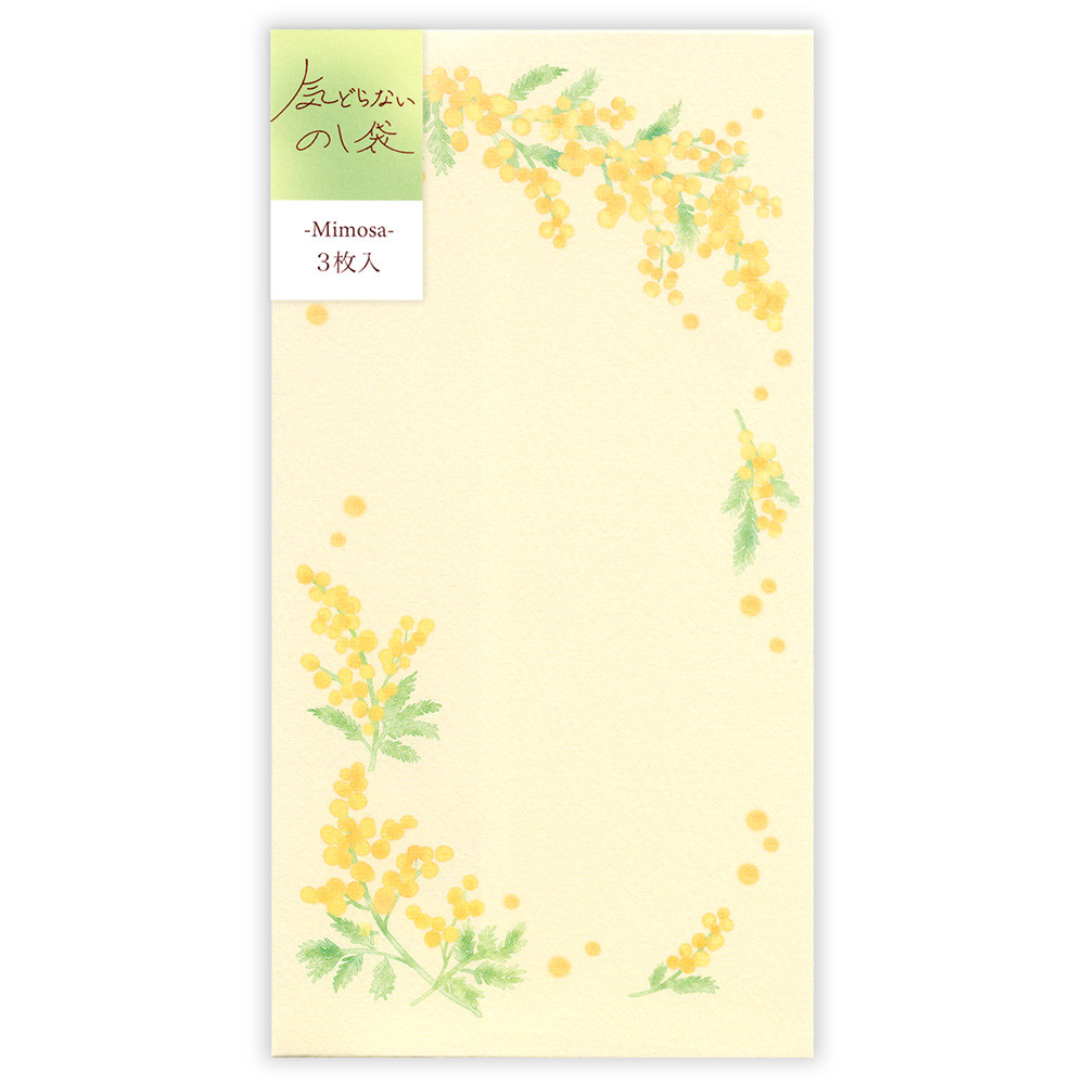 のし袋　カジュアル　ゴールデンミモザ